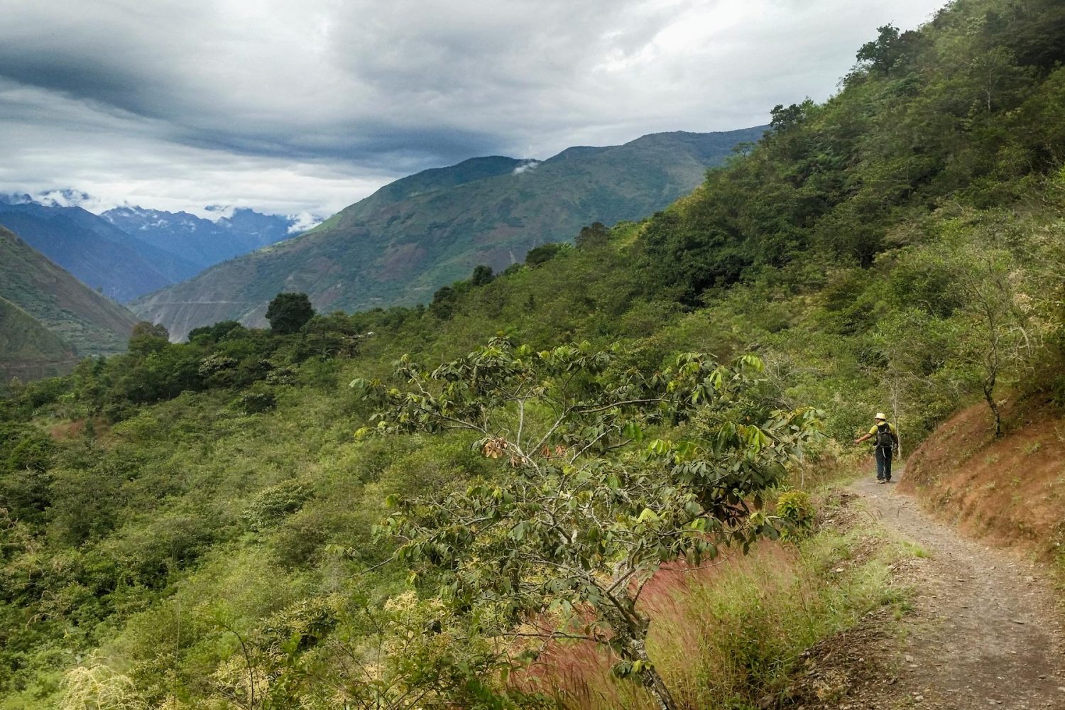 Trekking Puriq Jungle Tour