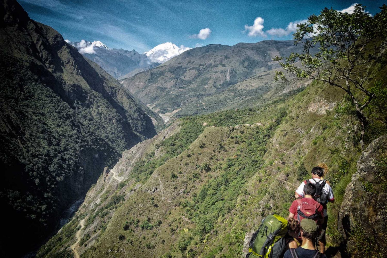 Trekkers hiking a narrow cliffside path along a deep green valley with snow-capped peaks in Peru