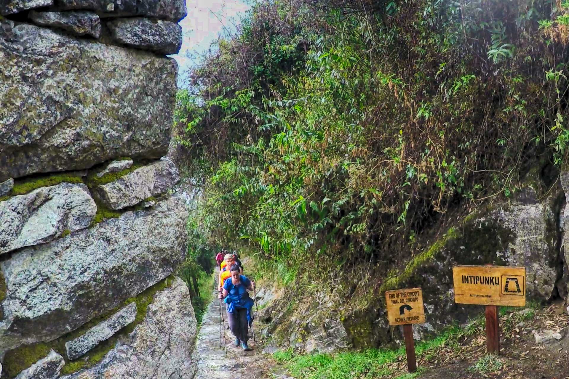 11The Best Way to Machu Picchu: Inca Trail, Inka Jungle Tour, Salkantay Trek or Train?