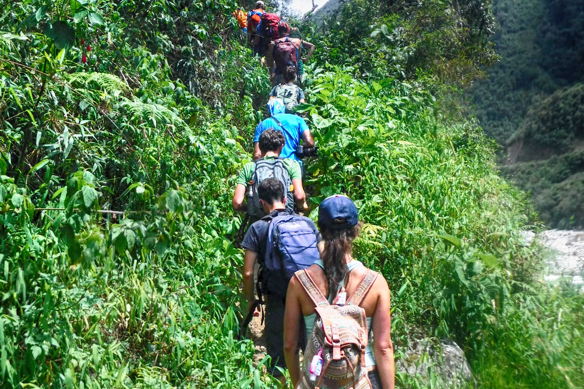 Inka Jungle Tour will take you through the jungle on the way to Machu Picchu travel peru