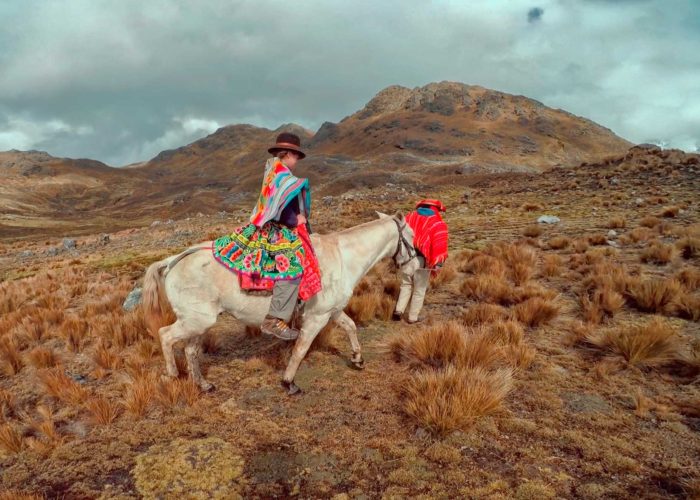 Tour Lares y Machu Picchu