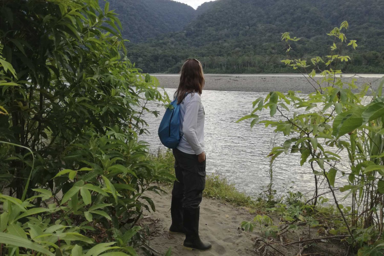 Parque nacional Manu Peru