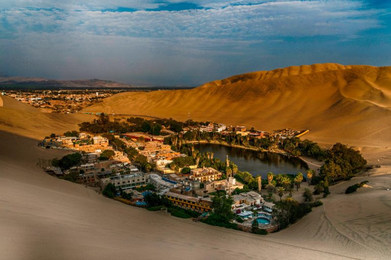 Îles Ballestas (Paracas) et Huacachina (Ica) depuis Lima