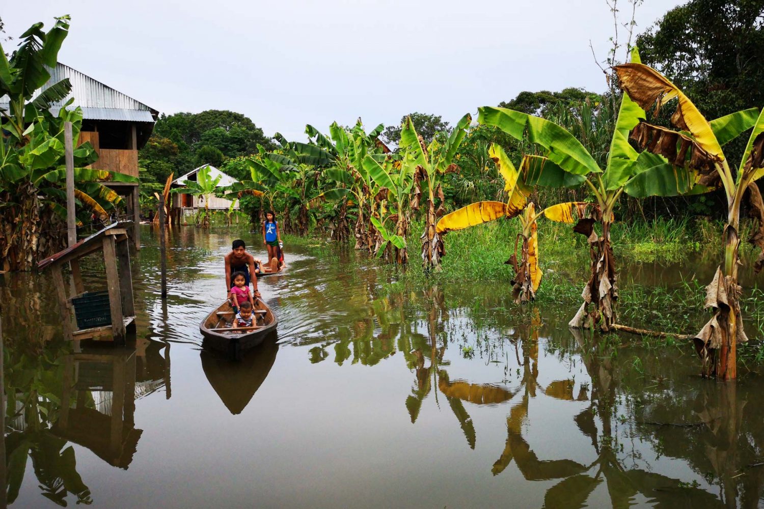 Iquitos y el Río Amazonas – 3 días – Inka Jungle Tour – Viaje a Machu