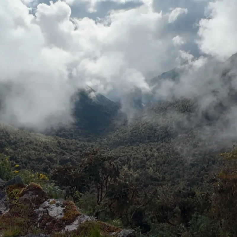 short inca trail 2-day tour