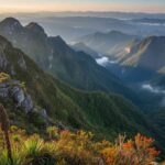 Vista panorámica de las laderas orientales de los Andes descendiendo hacia la Amazonía, mostrando la increíble biodiversidad de la selva alta peruana con sus bosques de neblina.