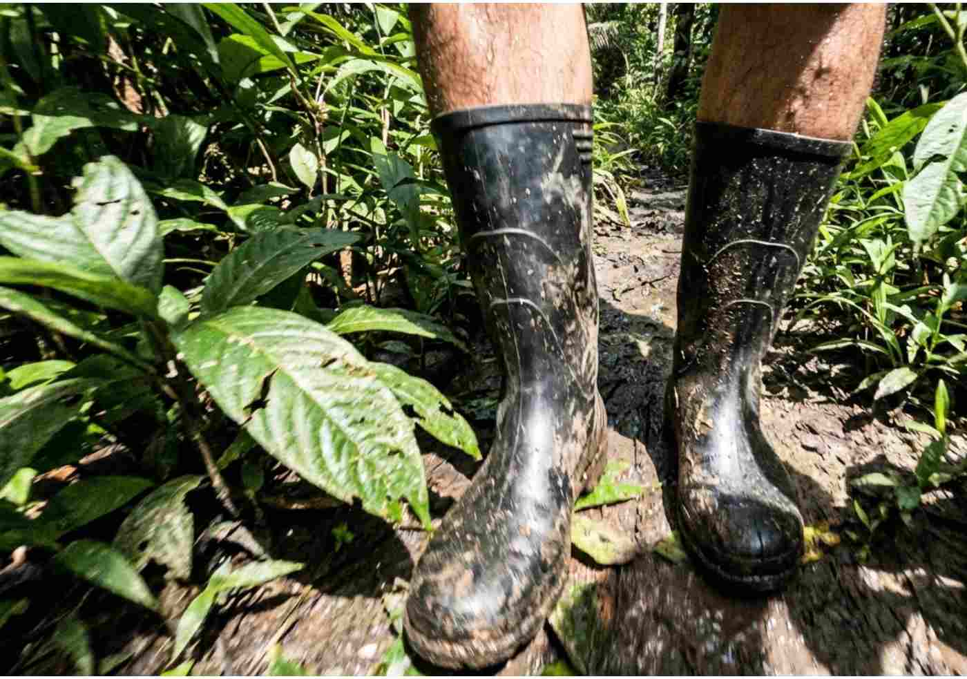 Pies de un viajero usando botas de jebe (caucho) cubiertas de lodo en un sendero denso de la selva de Iquitos.
