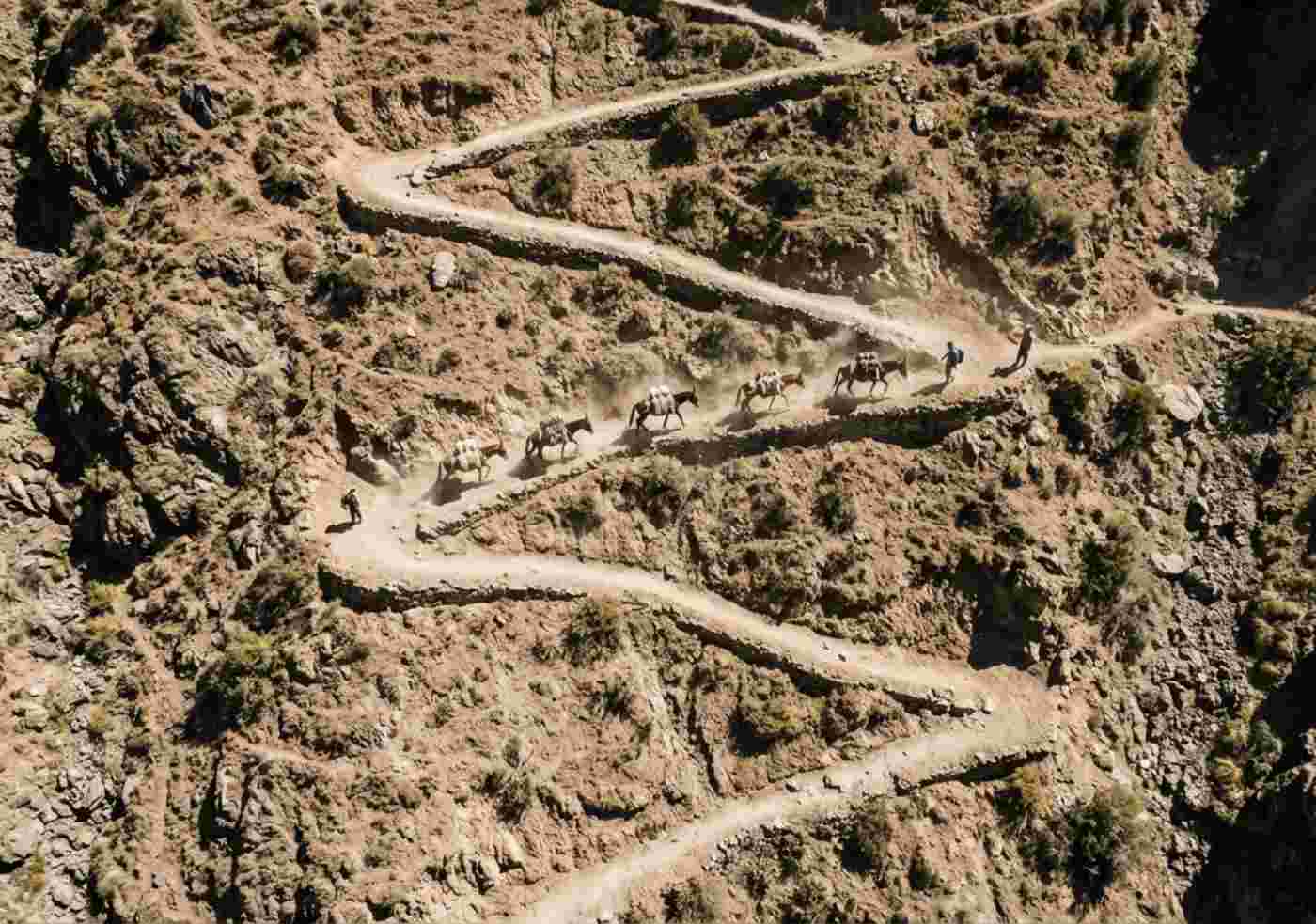 Vista aérea cenital de una caravana de mulas transportando equipo logístico por un sendero en zigzag