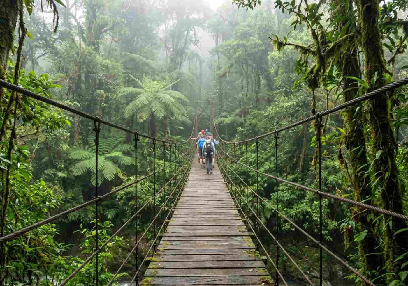 Senderistas cruzando un puente rústico en la ruta Inca Jungle rodeados de vegetación