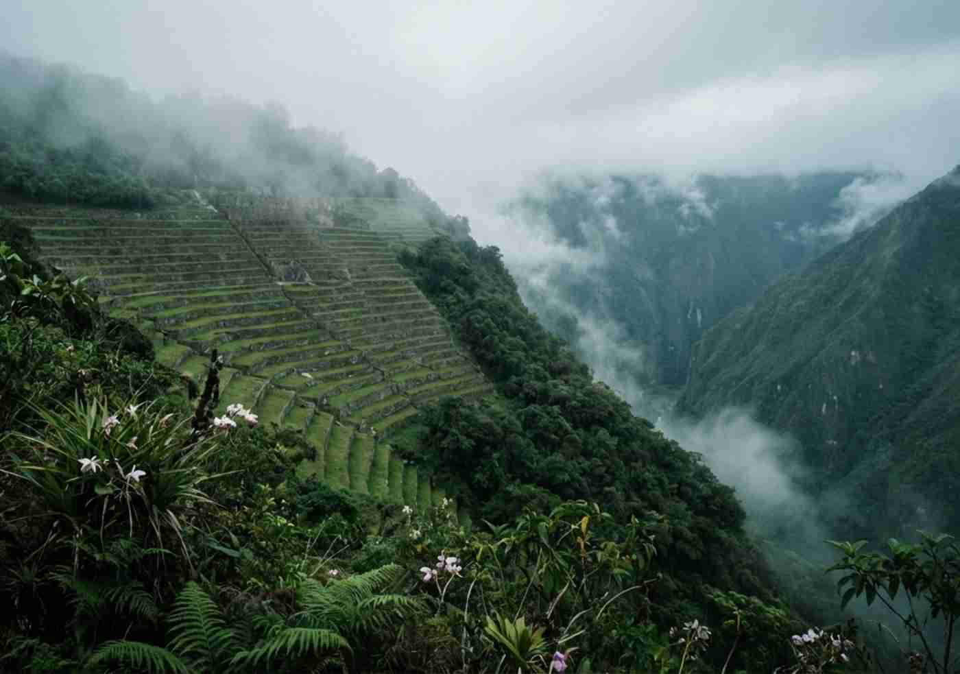 Vista panorámica de las terrazas agrícolas de Wiñay Wayna cubiertas por neblina de selva alta