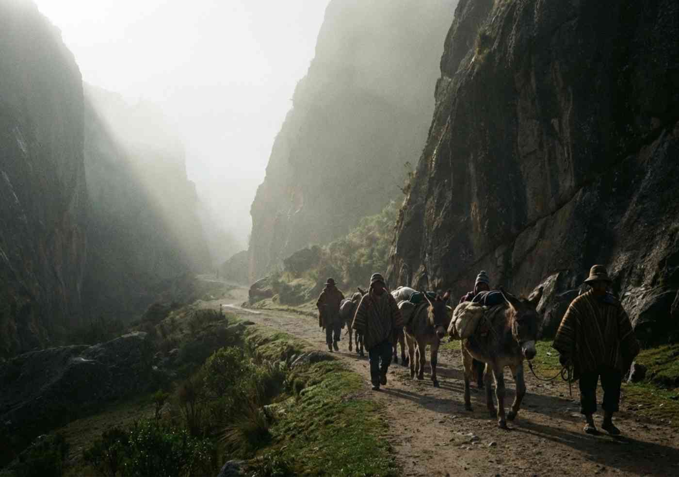 Caravana de mulas y arrieros transportando equipo de campamento por el valle de la Cordillera Blanca