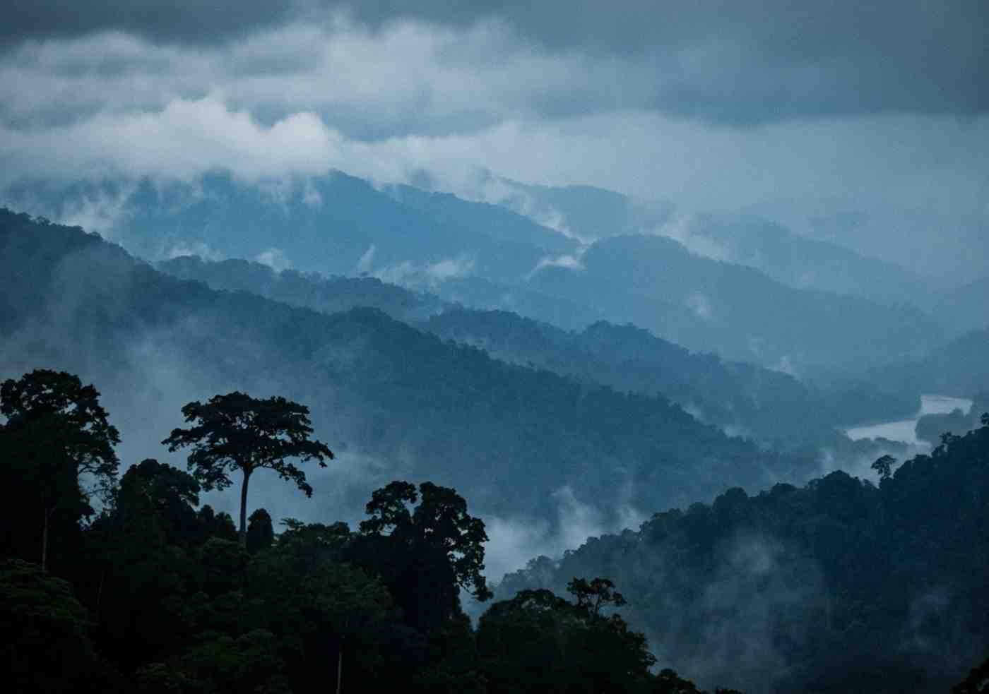 Silueta de un observador mirando el horizonte infinito de la selva del Manu entre nubes